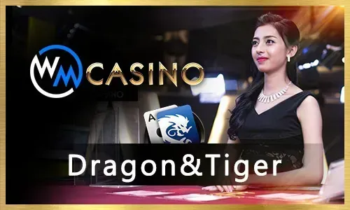 Live Roulette Wheel